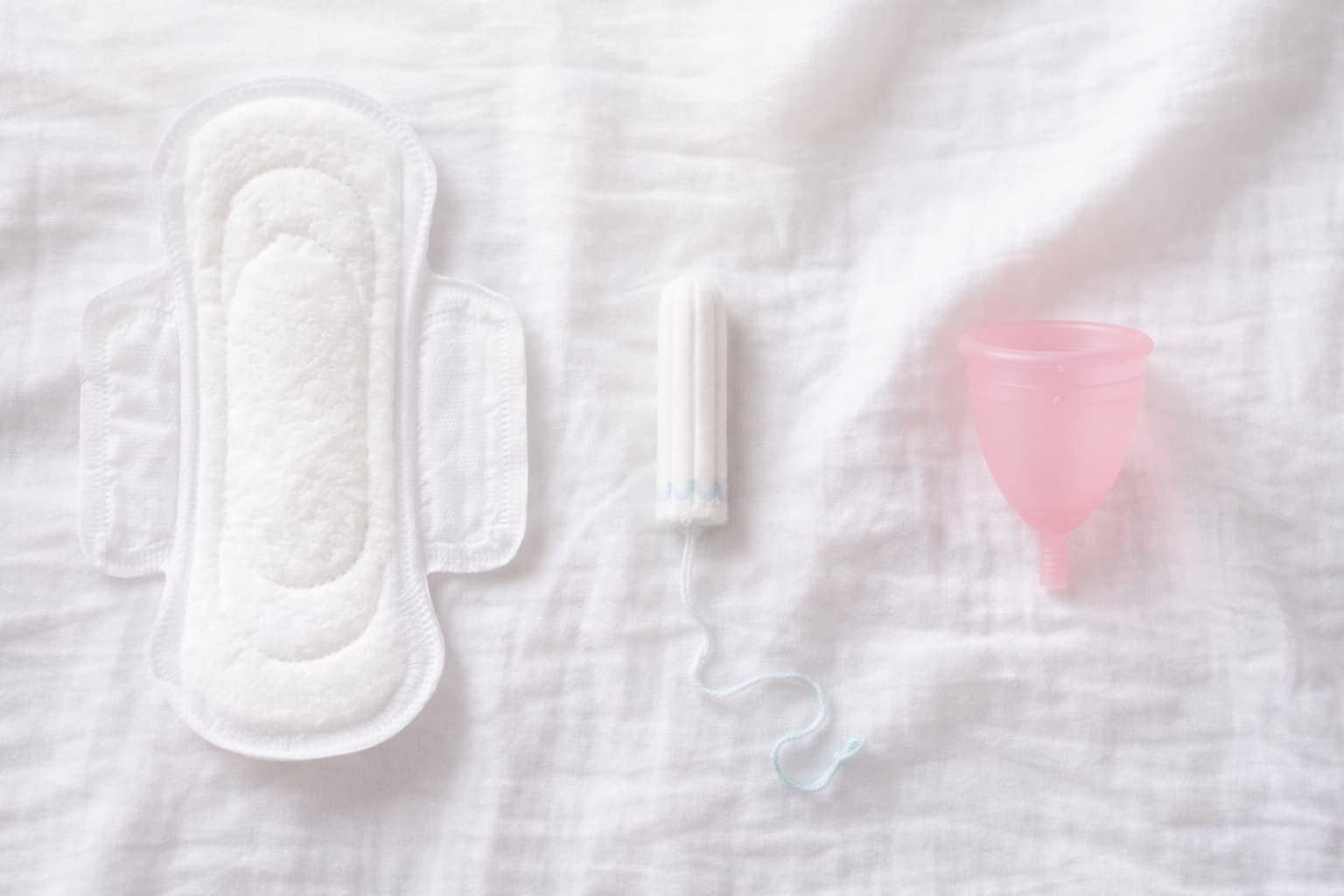 Why Periods Happen Biological Reason